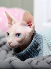 warm cotton pet sweater, view 6 - MRSLM