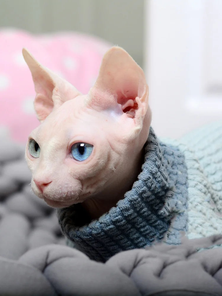 warm cotton pet sweater, view 6 - MRSLM
