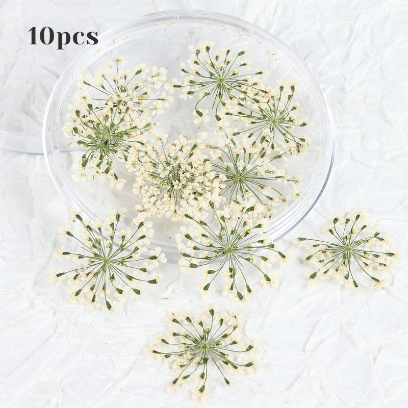 3d dried flower nail art decorations, view 5 - MRSLM