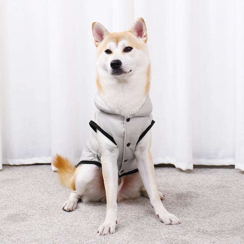 cozy winter dog jacket, view 10 - MRSLM