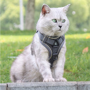 adjustable mesh cat harness and leash set, view 27 - MRSLM
