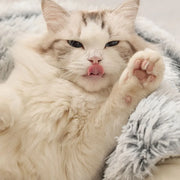 Plush cat bed, view 10 - MRSLM