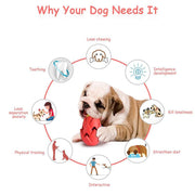 pitaya dog chew toy, view 6 - MRSLM