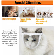 transparent cat muzzle, view 3 - MRSLM