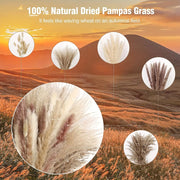 dried pampas grass bouquet, view 4 - MRSLM