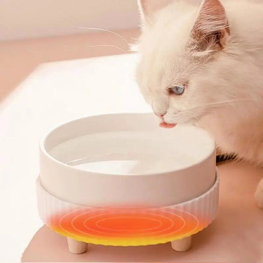 usb heated pet water bowl - MRSLM