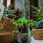 multi-pocket grow bag - MRSLM