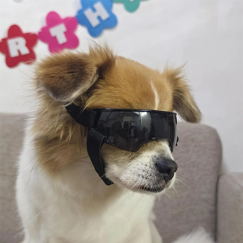 small dog sunglasses, view 9 - MRSLM