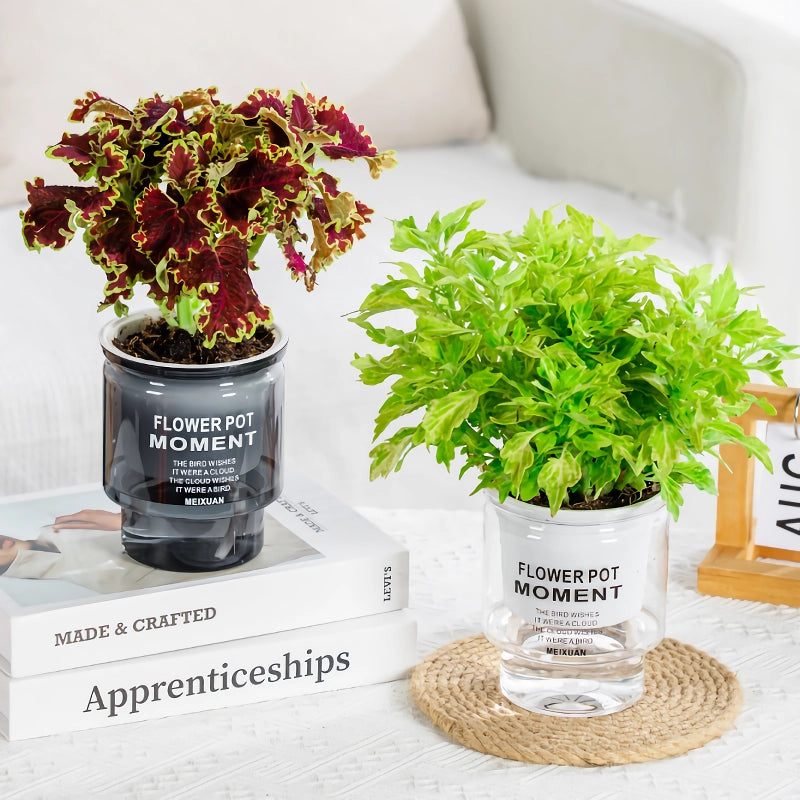 self-watering transparent succulent planter, view 4 - MRSLM
