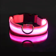 LED dog collar, view 3 - MRSLM