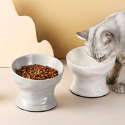 Elevated ceramic cat and small dog bowl, view 4 - MRSLM