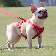 no-pull dog harness and leash set, view 26 - MRSLM
