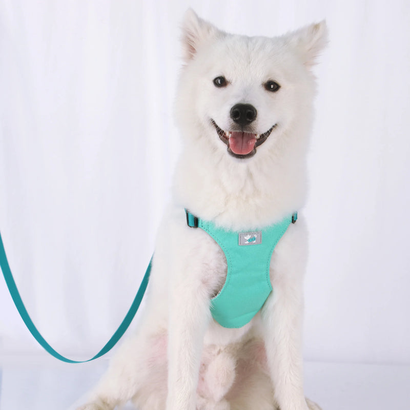 adjustable nylon dog harness and leash set, view 7 - MRSLM