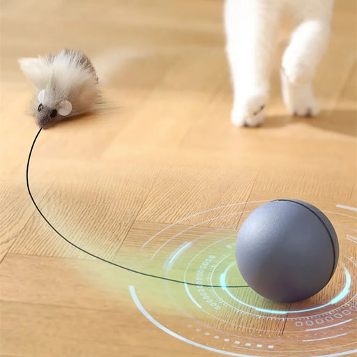 automatic cat toy set - MRSLM