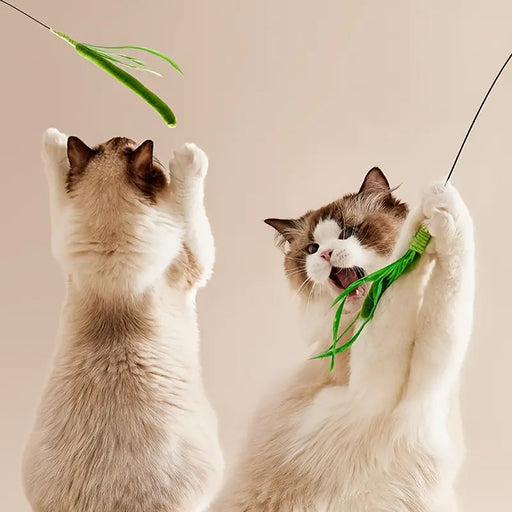 interactive feather teaser stick for cats and dogs - MRSLM