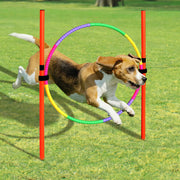 portable dog agility training equipment, view 8 - MRSLM