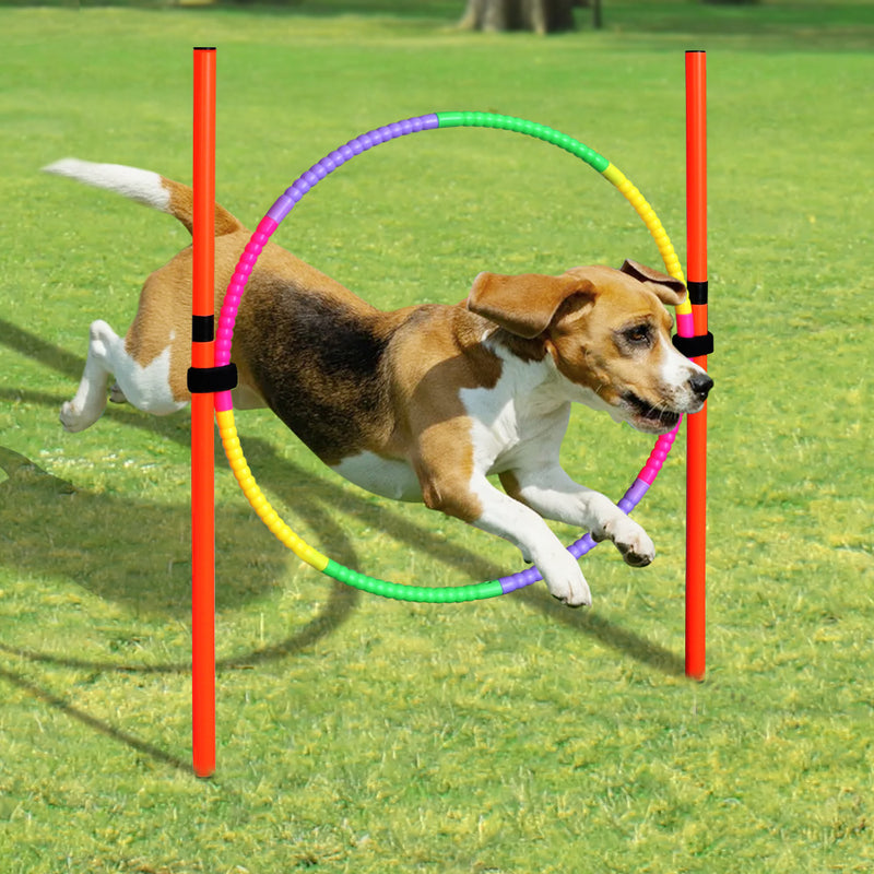portable dog agility training equipment, view 8 - MRSLM
