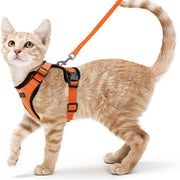 cat harness and leash, view 18 - MRSLM