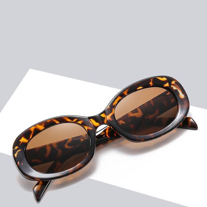 Chic Retro Oval Sunglasses for Women