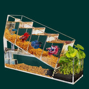 acrylic betta fish tank - MRSLM