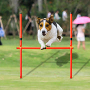 portable dog agility training equipment - MRSLM