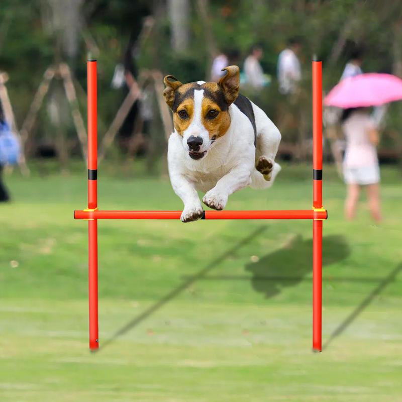 portable dog agility training equipment - MRSLM