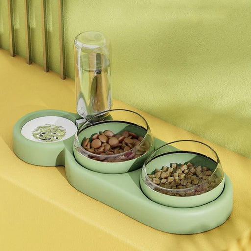 pet feeder with tilted double bowls and water fountain - MRSLM