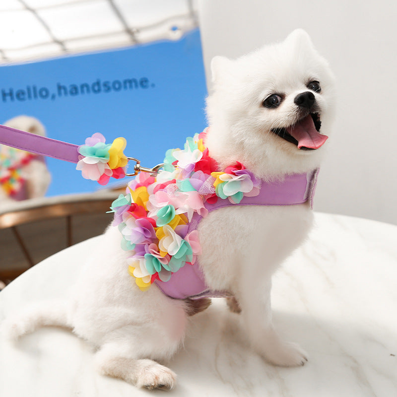 floral dog harness and leash set, view 3 - MRSLM
