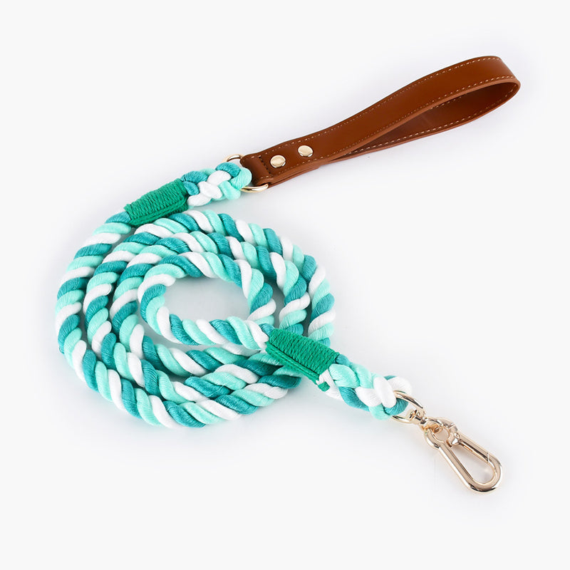 no-tangle braided dog leash, view 2 - MRSLM