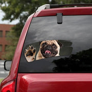 3d effect cracked alien and pet car decal, view 6 - MRSLM