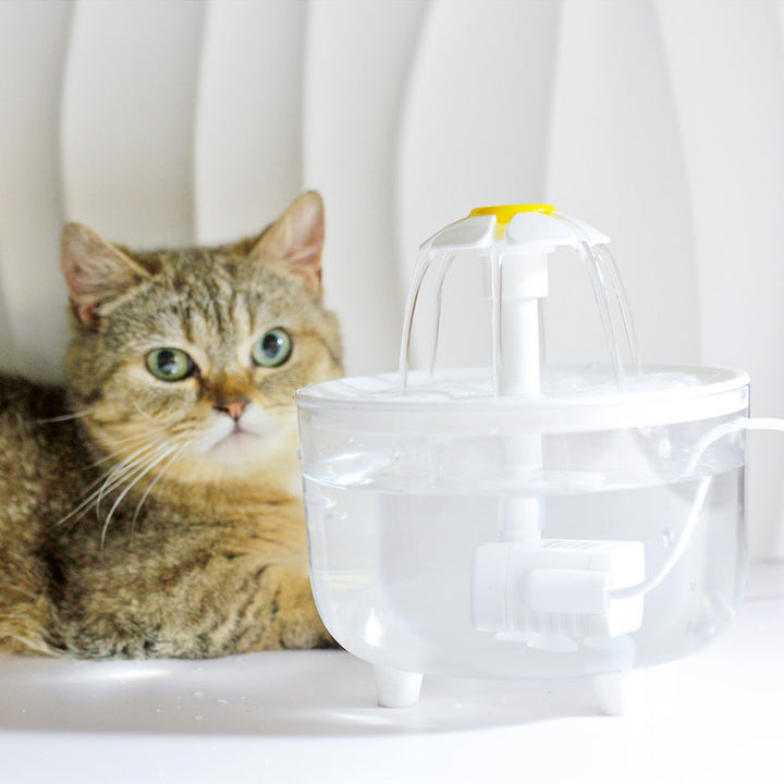 1000ML USB Cat Water Fountain with Auto Filter & Prevention Pump Sensor