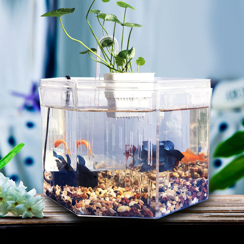Desktop betta fish tank, view 6 - MRSLM