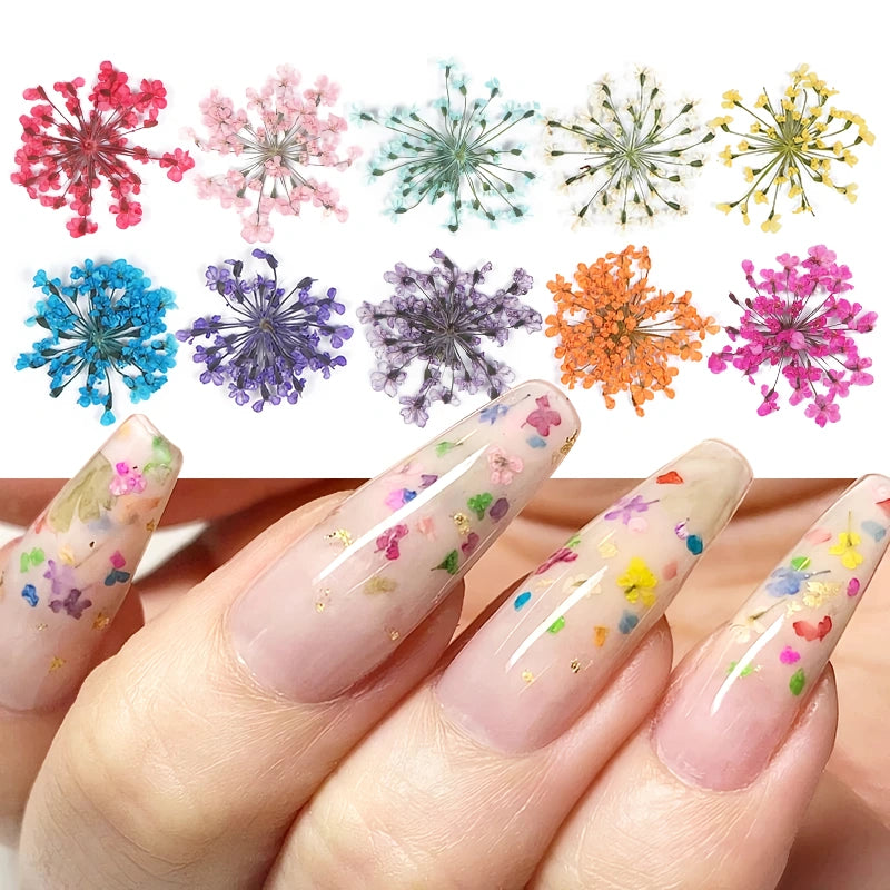 3d dried flower nail art decorations, view 13 - MRSLM