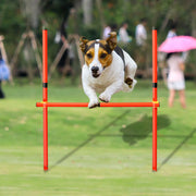 dog agility jumping tool, view 7 - MRSLM