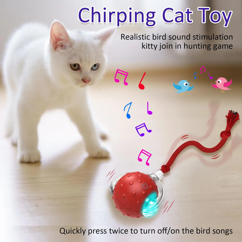 interactive cat rolling ball, view 3 - MRSLM