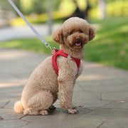 mesh harness and leash set, view 27 - MRSLM