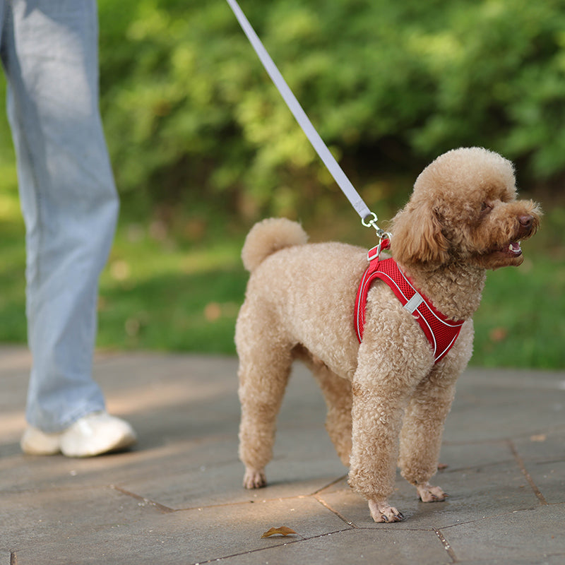 mesh harness and leash set, view 28 - MRSLM