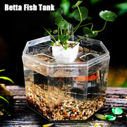 Desktop betta fish tank, view 3 - MRSLM