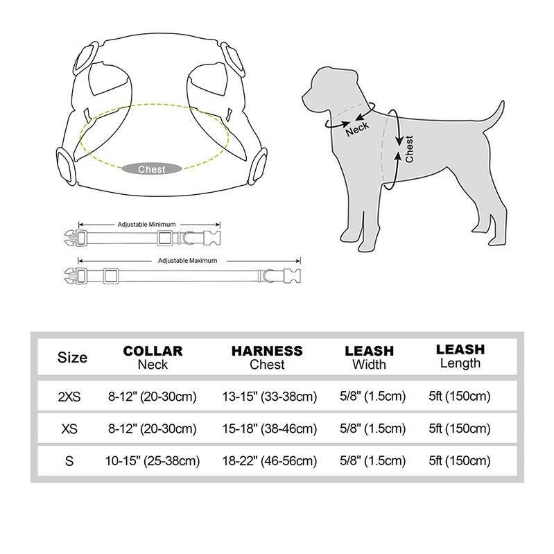 adjustable bowtie collar, leash and harness set, view 10 - MRSLM