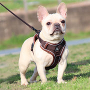 no-pull dog harness and leash set, view 29 - MRSLM