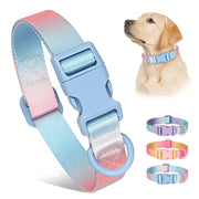 colorful print nylon dog collar - MRSLM