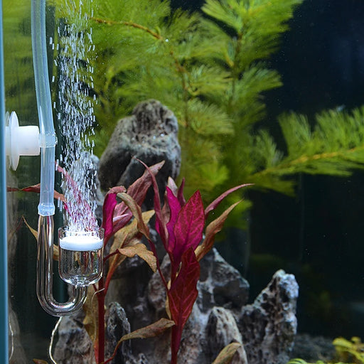 co2 diffuser system for aquariums - MRSLM