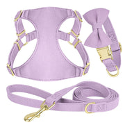 bowtie dog collar harness leash set, view 2 - MRSLM