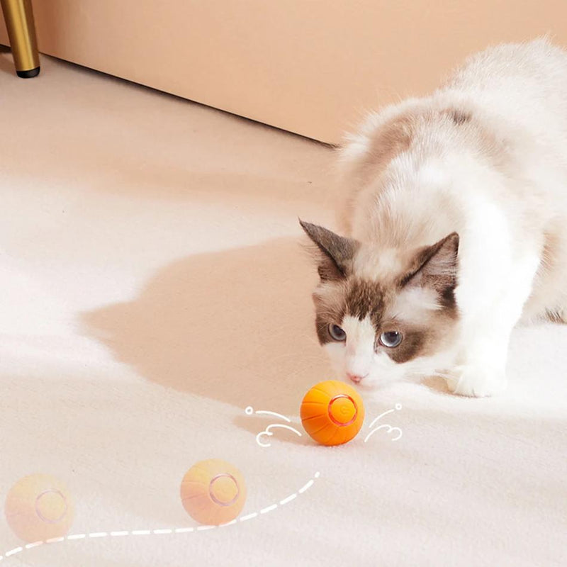 Smart interactive cat toy - MRSLM