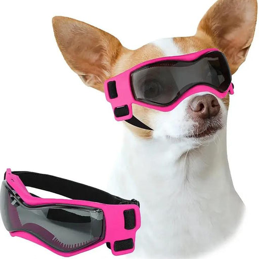 small dog sunglasses - MRSLM
