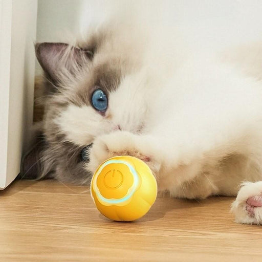 LED cat toy ball - MRSLM