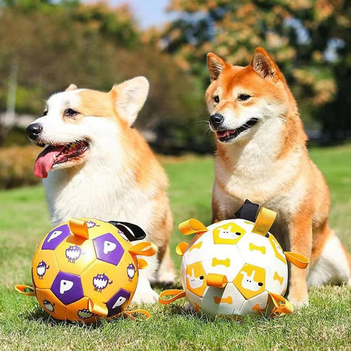 interactive football dog toy - MRSLM