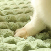 Winter warm dog mat, view 9 - MRSLM