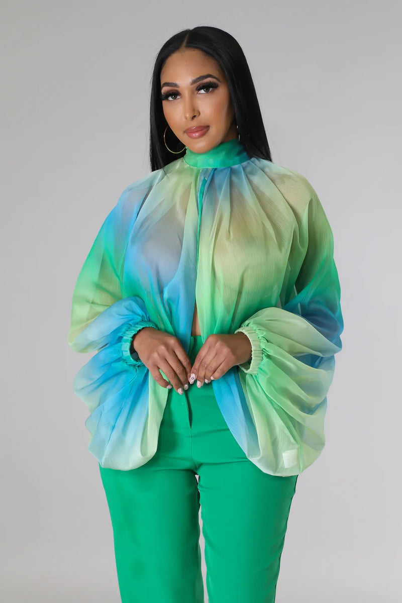 women's sheer chiffon printed long sleeve top, view 3 - MRSLM