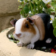 Guinea pig resin statue, view 2 - MRSLM